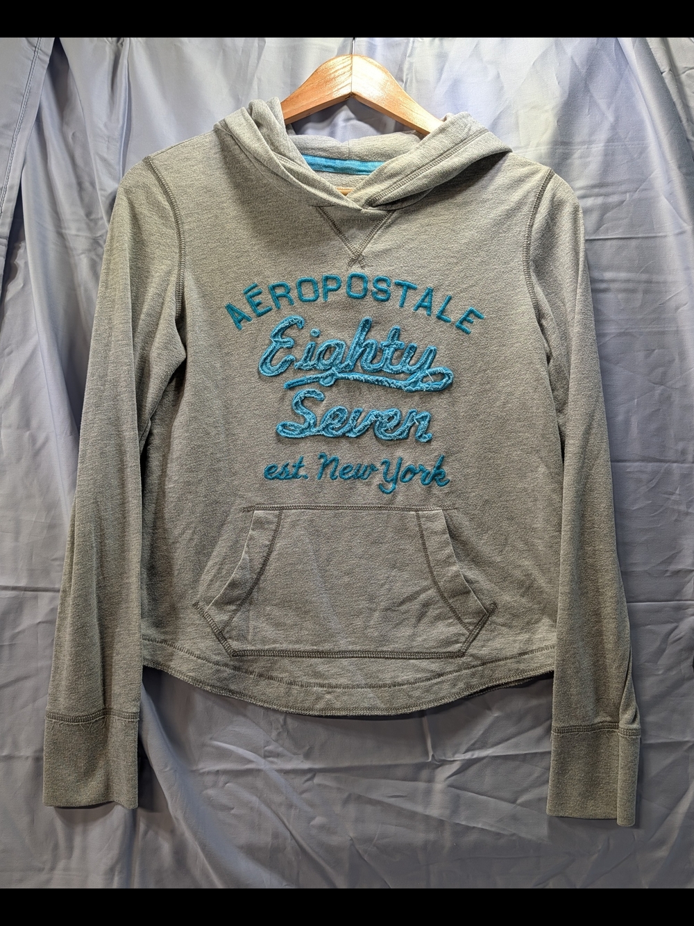 Aeropostale Y2K Style Grey Pullover Hoodie w/ Teal Embroidery Size Juniors Med
